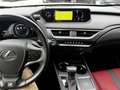 Lexus UX 250h F-SPORT Grau - thumbnail 18