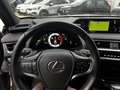 Lexus UX 250h F-SPORT Grigio - thumbnail 14