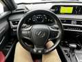 Lexus UX 250h F-SPORT Grigio - thumbnail 10