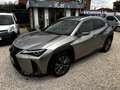 Lexus UX 250h F-SPORT Grigio - thumbnail 5