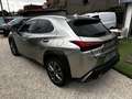 Lexus UX 250h F-SPORT Grigio - thumbnail 4