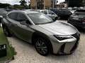 Lexus UX 250h F-SPORT Grigio - thumbnail 6