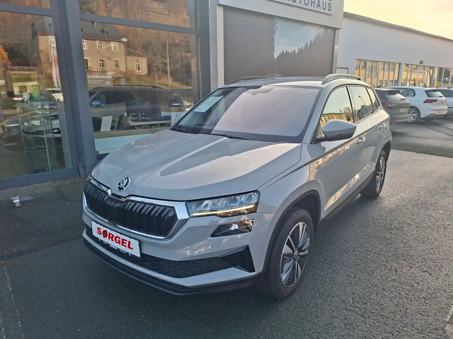 Skoda Karoq Tour Gris - 1