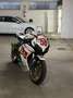 Honda CBR 1000 fireblade Blanc - thumbnail 5