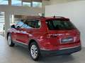 Volkswagen Tiguan 2,0 TDI Life DSG*ACC*Spur*Massage* Rot - thumbnail 8