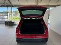 Volkswagen Tiguan 2,0 TDI Life DSG*ACC*Spur*Massage* Rot - thumbnail 7