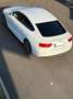 Audi A5 SB 3,0 TDI quattro S-tronic Weiß - thumbnail 5