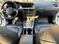 Audi A5 SB 3,0 TDI quattro S-tronic Weiß - thumbnail 11