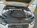 Audi A5 SB 3,0 TDI quattro S-tronic Weiß - thumbnail 7