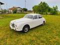 Jaguar MK II targhe italiane VALUTO PERMUTE sensate Blanco - thumbnail 21