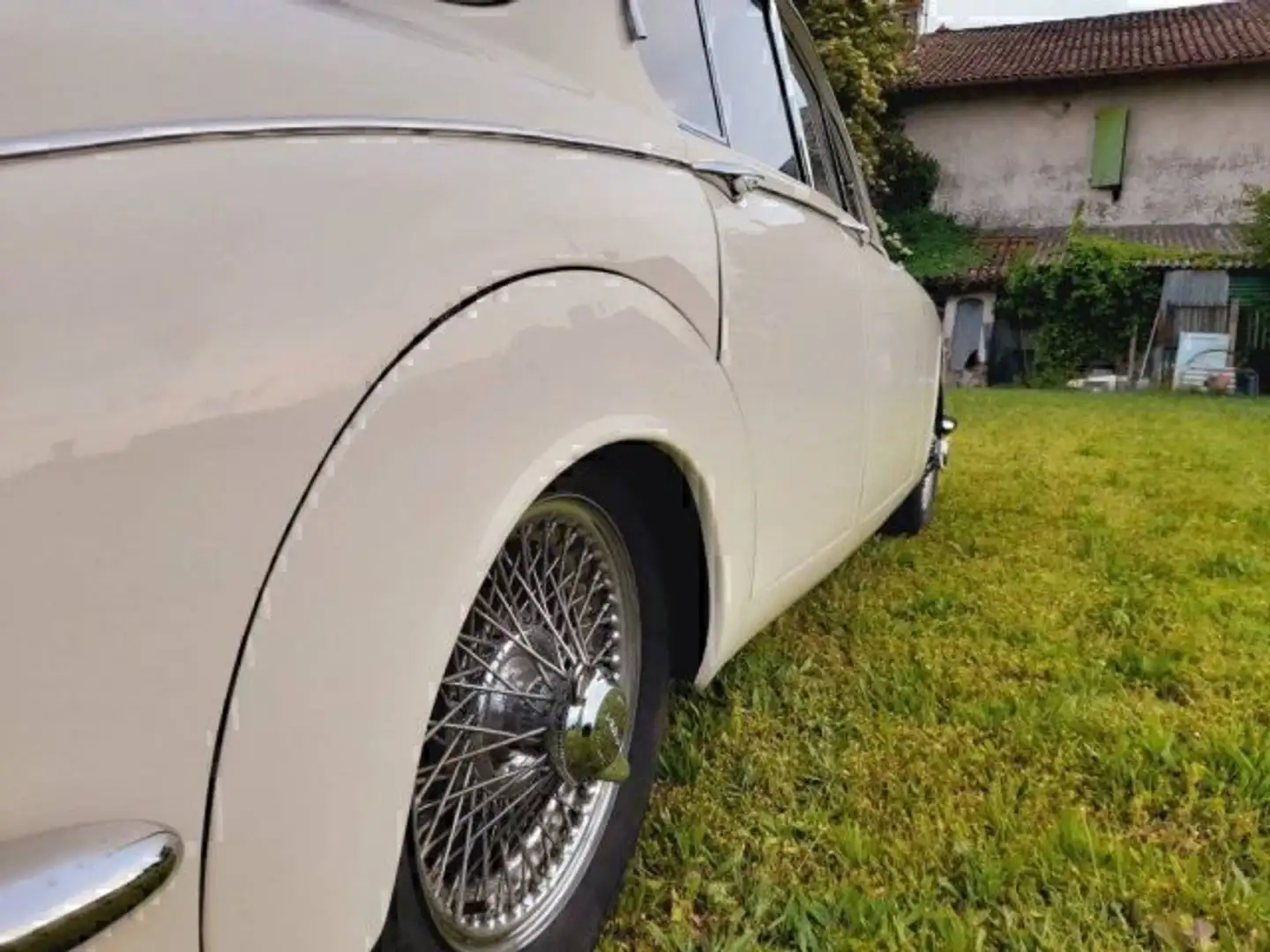 Jaguar MK II targhe italiane VALUTO PERMUTE sensate Bianco - 2