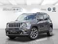 Jeep Renegade S 1.6 MultiJet  Panorama Grigio - thumbnail 1