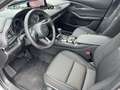 Mazda CX-30 Homura Automatik Keyless elekt. Heckklappe Grau - thumbnail 10