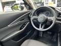 Mazda CX-30 Homura Automatik Keyless elekt. Heckklappe Grau - thumbnail 12