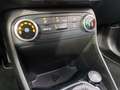 Ford Fiesta 1.1 Titanium LM KlimaA PDC DynLi S-Sitz Bianco - thumbnail 10