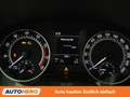 Skoda Fabia 1.2 TSI Monte Carlo *TEMPO*KLIMAAUTO*BT*PANO* Grau - thumbnail 20