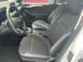 Ford Focus 1.5 ecoblue Business  120 cv Blanc - thumbnail 11