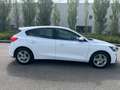 Ford Focus 1.5 ecoblue Business  120 cv Blanc - thumbnail 4