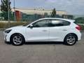 Ford Focus 1.5 ecoblue Business  120 cv Blanc - thumbnail 6