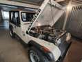 Jeep Wrangler 2.5 GPL Braun - thumbnail 5