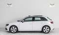 Audi A3 1.6 TDi Ambition / Toit panoramique Blanc - thumbnail 7