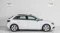 Audi A3 1.6 TDi Ambition / Toit panoramique Blanc - thumbnail 8