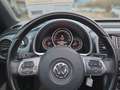 Volkswagen Beetle Cabriolet DESIGN 1.2TSI NAVI+2xPDC+SITZHZG+AC-AUTO Gris - thumbnail 9