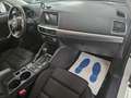Mazda CX-5 2.2 Evolve 2wd 150cv 6at Bianco - thumbnail 22