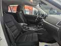 Mazda CX-5 2.2 Evolve 2wd 150cv 6at Bianco - thumbnail 21