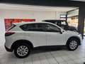 Mazda CX-5 2.2 Evolve 2wd 150cv 6at Bianco - thumbnail 6