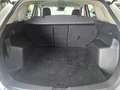 Mazda CX-5 2.2 Evolve 2wd 150cv 6at Bianco - thumbnail 19