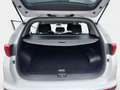 Kia Sportage 1.6 GDI Vision 2WD +Kamera+Klima Wit - thumbnail 11
