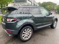 Land Rover Range Rover Evoque Range Rover Evoque 2.2 TD4 5p*Neopatentati*Automat Verde - thumbnail 7