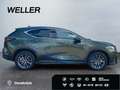 Lexus E-FOUR Executive Line *AHK*Leder*360Grad* Zelená - thumbnail 10