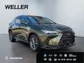 Lexus E-FOUR Executive Line *AHK*Leder*360Grad* Zelená - thumbnail 4