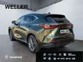 Lexus E-FOUR Executive Line *AHK*Leder*360Grad* Zelená - thumbnail 7