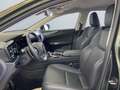 Lexus E-FOUR Executive Line *AHK*Leder*360Grad* Zelená - thumbnail 9