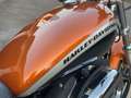 Harley-Davidson Sportster XL 1200 CA Orange - thumbnail 9