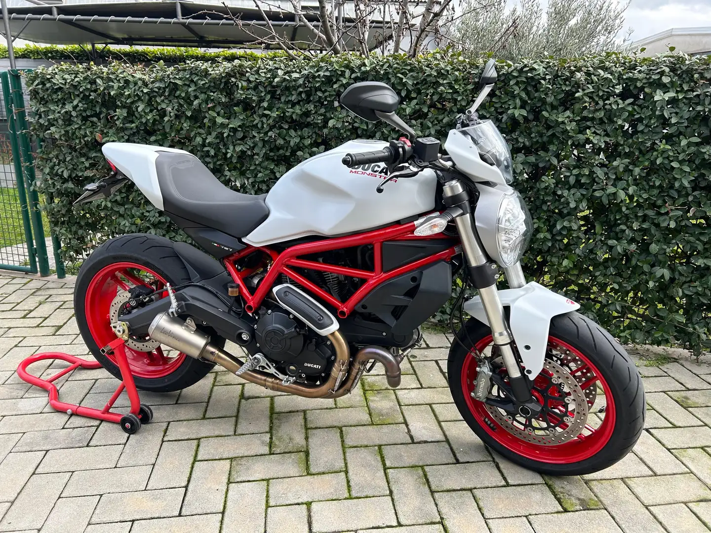 Ducati Monster 797 797+ Weiß - 2