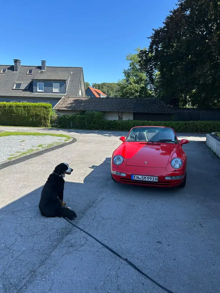 Porsche 993 911 Carrera Cabrio, foto 8