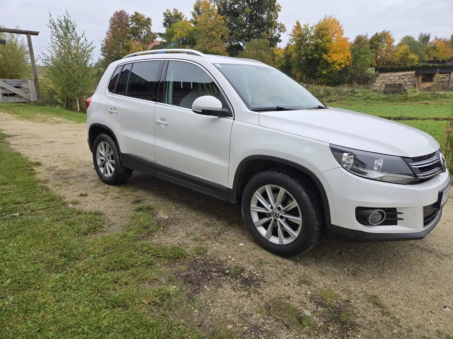 Volkswagen Tiguan Tiguan 2,0 TDI 4Sports BMT DPF 4Sports Weiß - 2