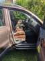 Volkswagen Tiguan Tiguan 2.0 TDI DPF 4Motion BlueMotion Techn. DSG T Braun - thumbnail 7