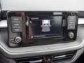 Skoda Fabia 1.0 MPI Selection KLIMA PDC SHZ LED Blanco - thumbnail 10
