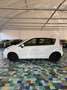 Renault Scenic Scenic 1.5 dci Confort GARANZIA 12 MESI Blanc - thumbnail 5