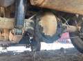 Jeep DJ5 Postal Jeep RHD 258 Automatik Blanc - thumbnail 13