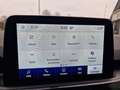 Ford Kuga 2.5 PHEV ST-LineX Navi Leder Apple Virtual Cam. LE Rood - thumbnail 17