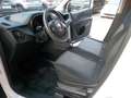 Fiat Doblo ISO11/26 EU6B Blanc - thumbnail 12