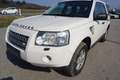Land Rover Freelander 2,2 Td4_e E Weiß - thumbnail 12