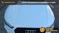 Audi A6 Avant 2.0 TDI 190 CV S LINE DOPPIO CERCHIO DA 20° Blanc - thumbnail 42