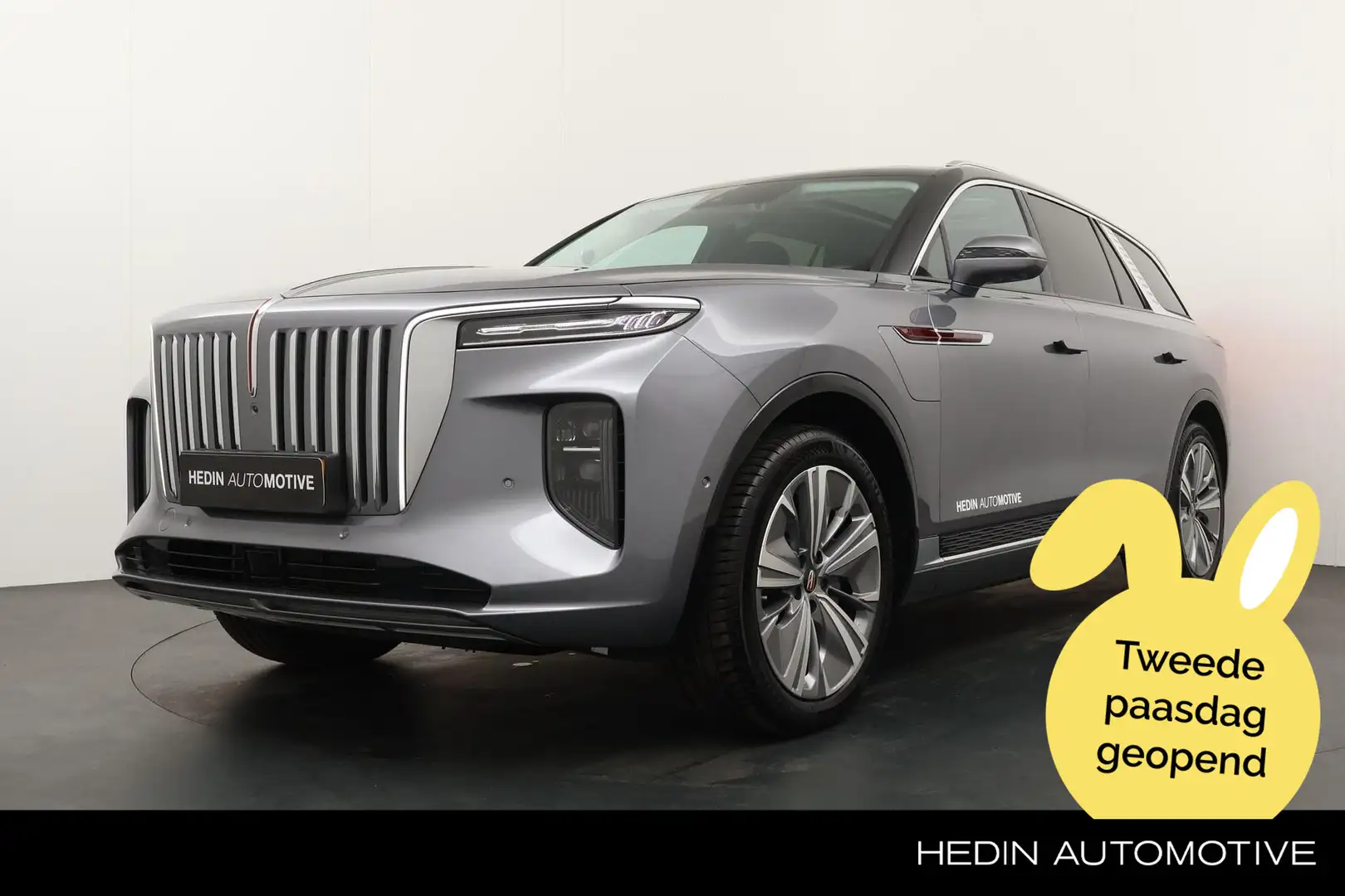 Hongqi E-HS9 President 99 kWh 6 Pers. | Navigatie | Adapt. Crui Gris - 1